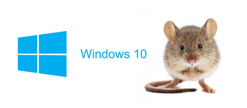 mouse jumping windows 10