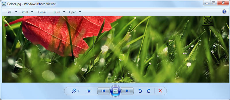 microsoft photo viewer windows 7 free download